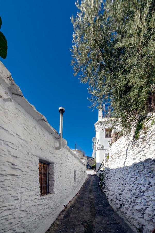 Casa La Parra Villa Capileira Exterior photo